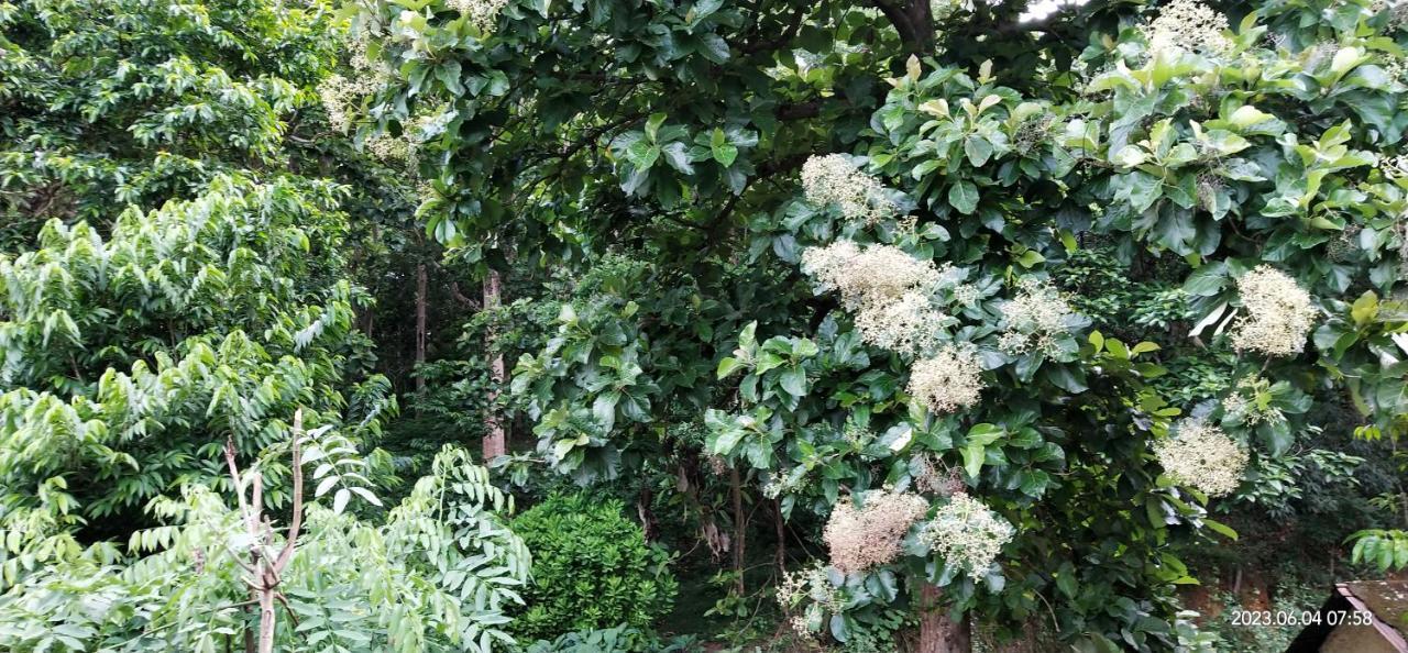 Floral Homestay Thekkady Exterior foto